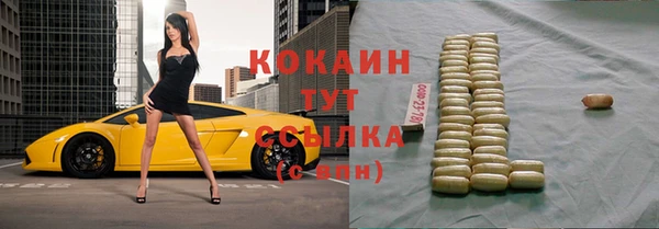 мдпв Новосибирск